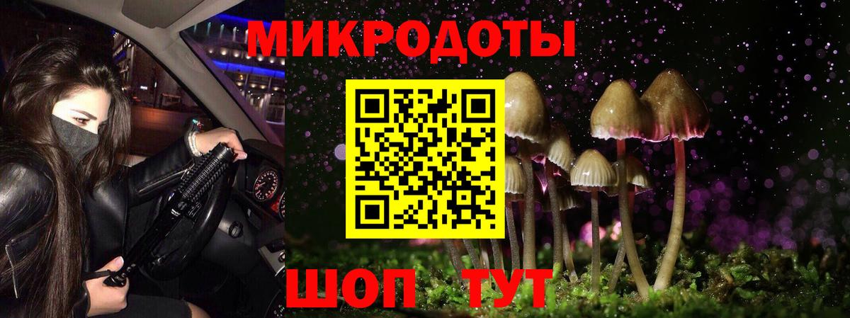 Омск  Псилоцибиновые грибы мухоморы  Вход с VPN 