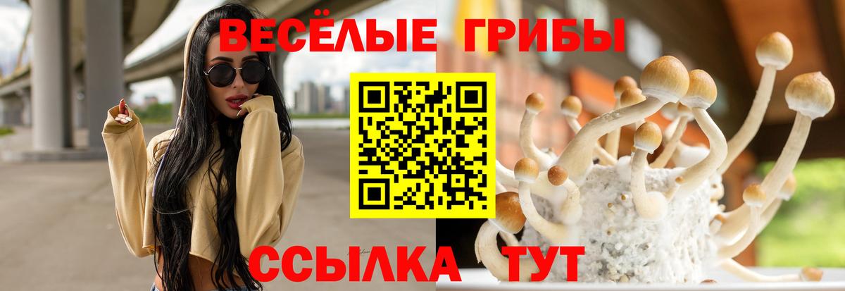 Псилоцибиновые грибы Cubensis Омск